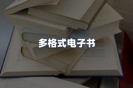 多格式电子书